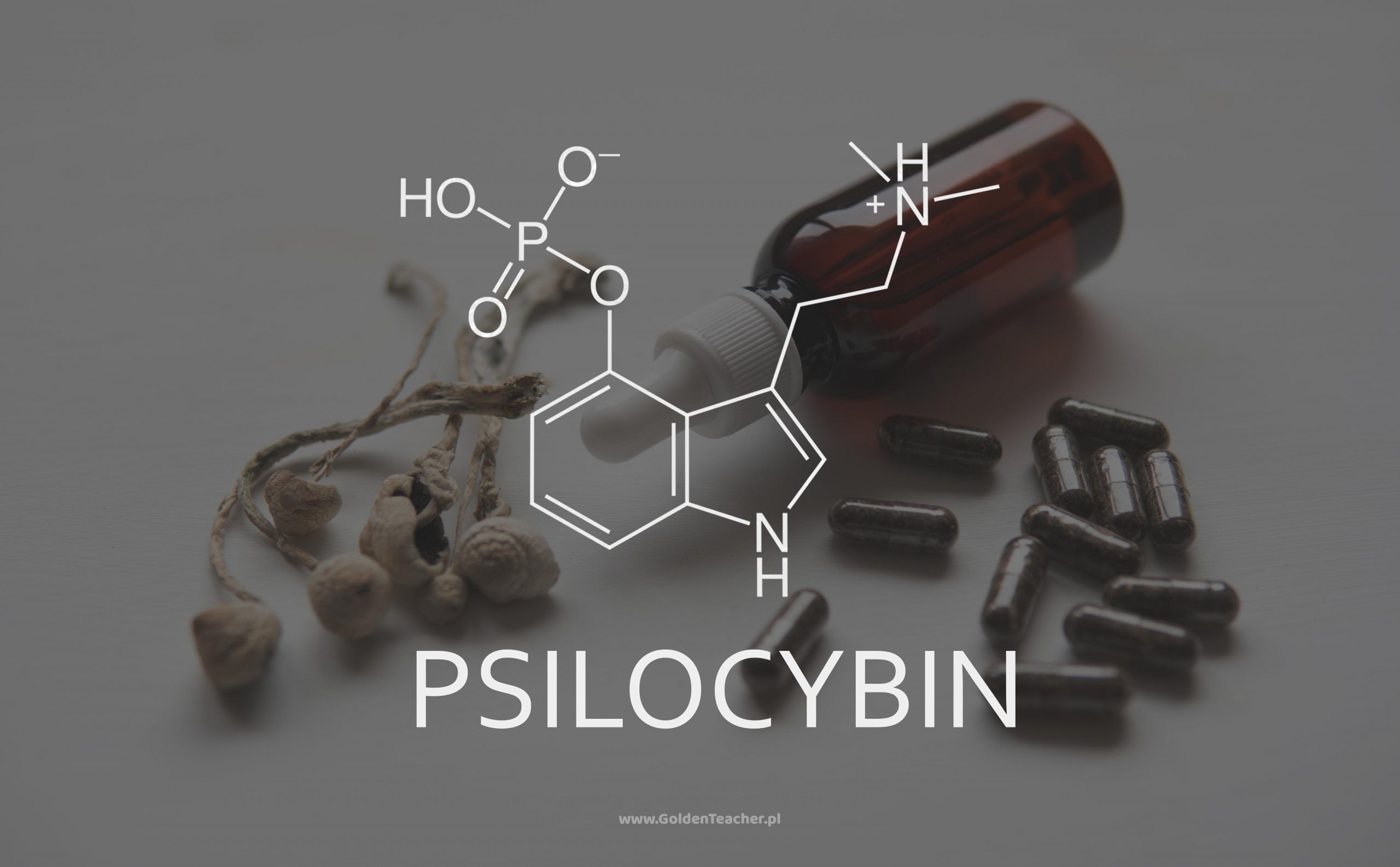 psylocybina tabletki